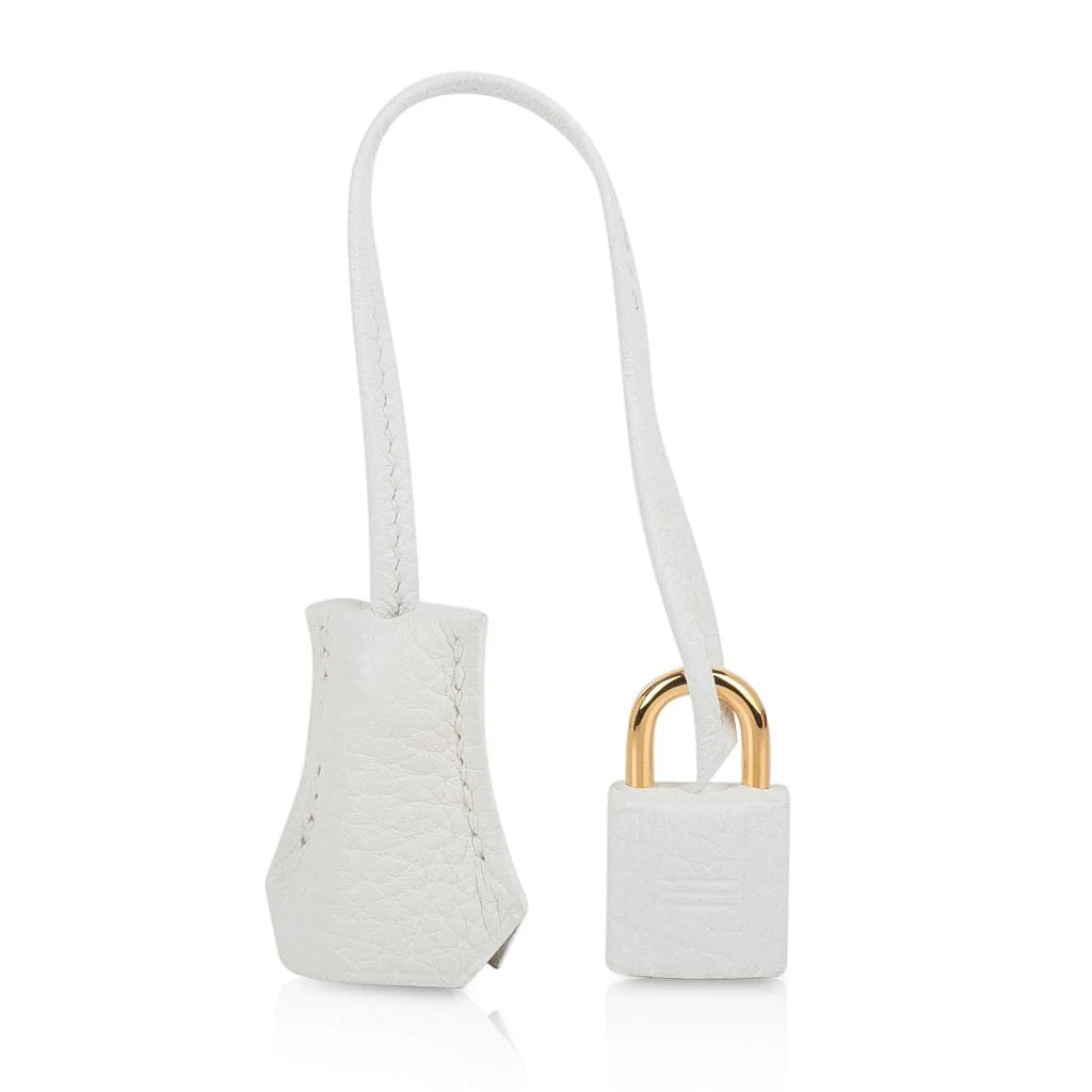 Pristine Bright White With Gold Hardware Bag