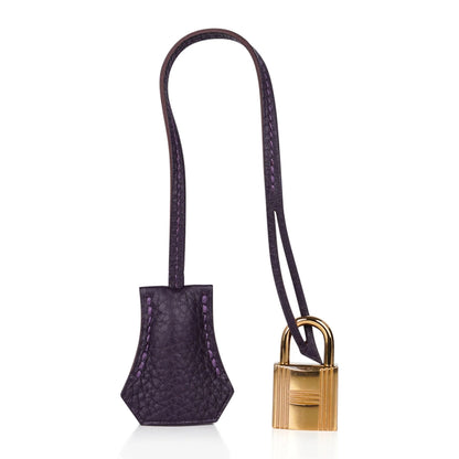 Deep Purple Rich Original Colour Gold Hardware Togo Leather