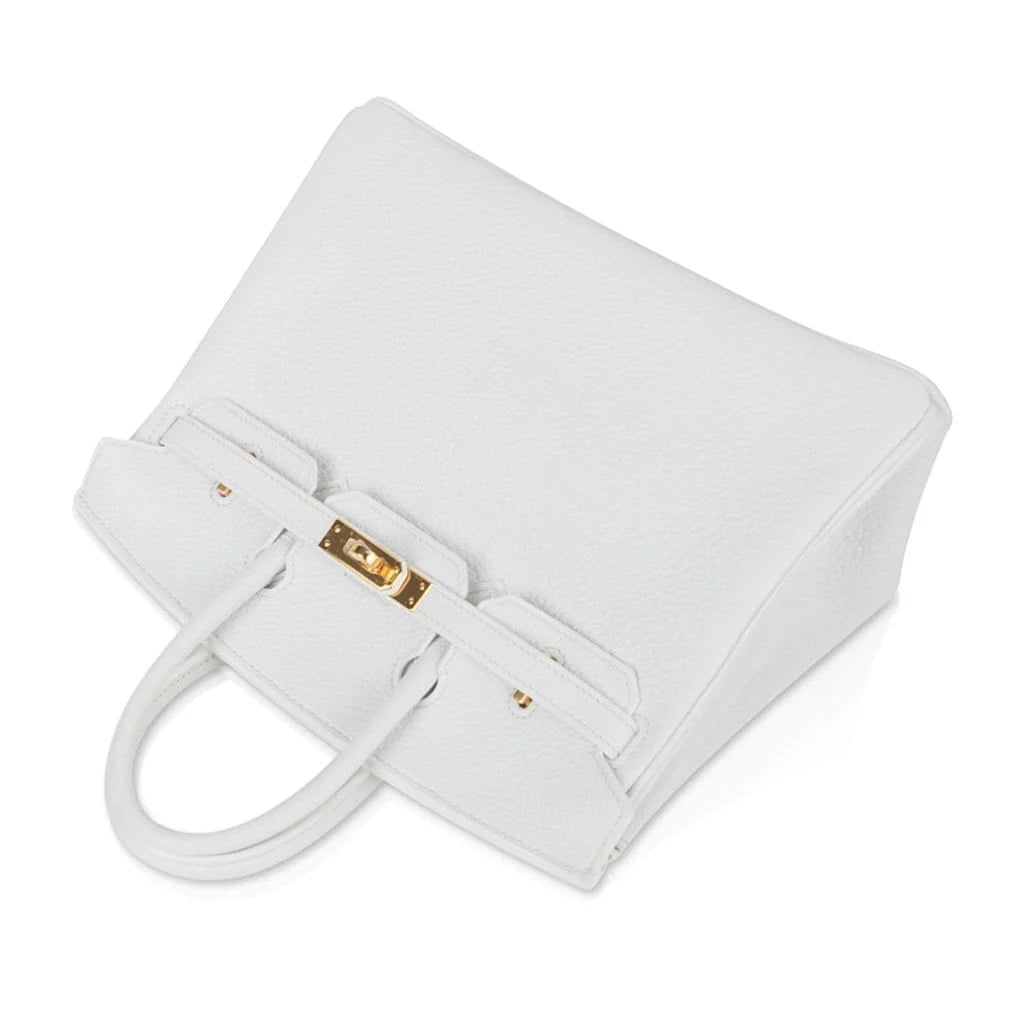 Pristine Bright White With Gold Hardware Bag