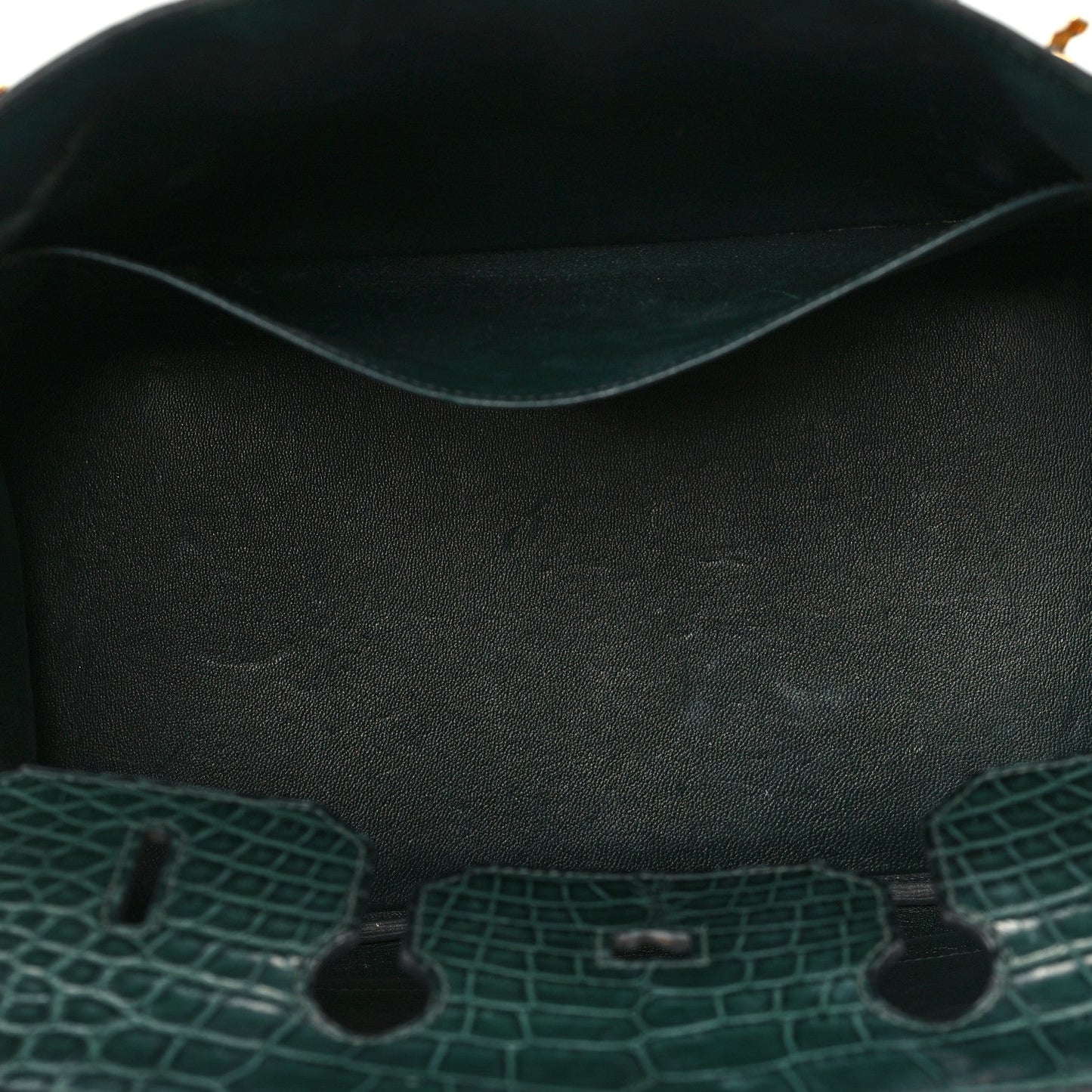 Birkin Vert Titien Matte Alligator Gold Hardware