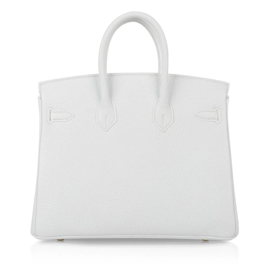 Pristine Bright White With Gold Hardware Bag