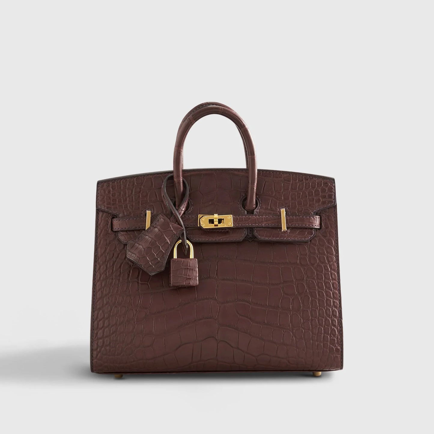 Birkin 20 Alligator Havane Gold Hardware Matte