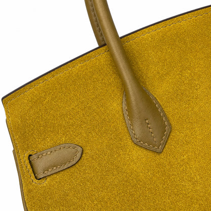 Mini Birkin 25cm Grizzly Edition in Weimaraner Beige & Suede (Silver Hardware)